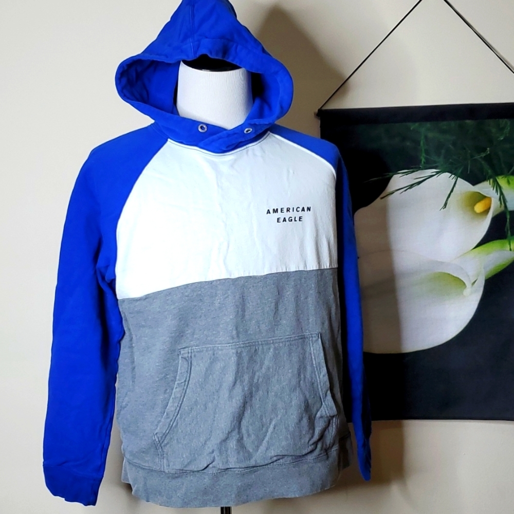 Men's AEO Colorblock hoodie
